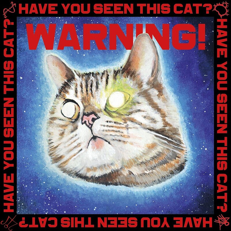 Have You Seen This Cat? at Exchange