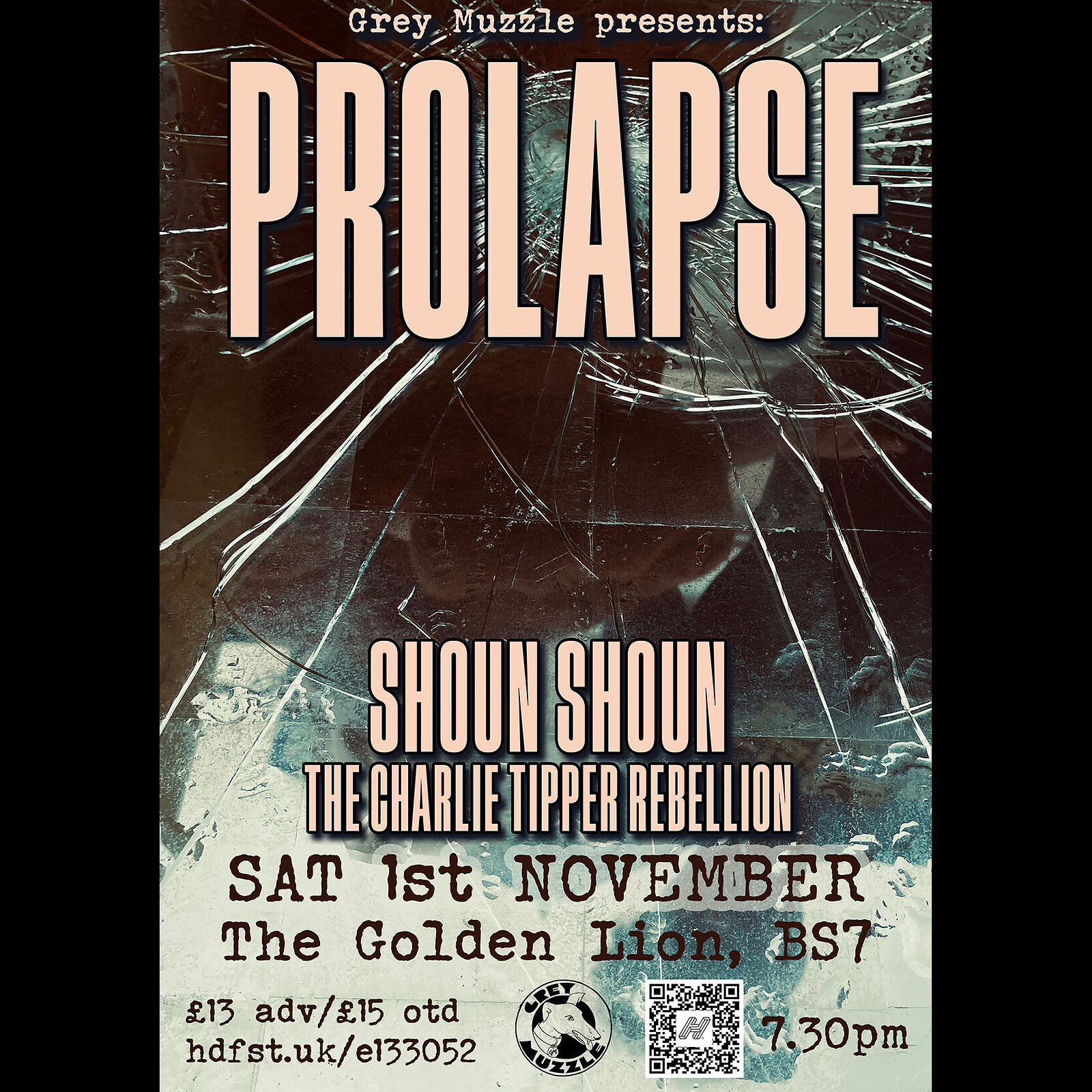 PROLAPSE + Shoun Shoun + Charlie Tipper Rebellion at The Golden Lion