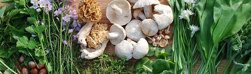 WILD FOOD at Leigh Court Farm