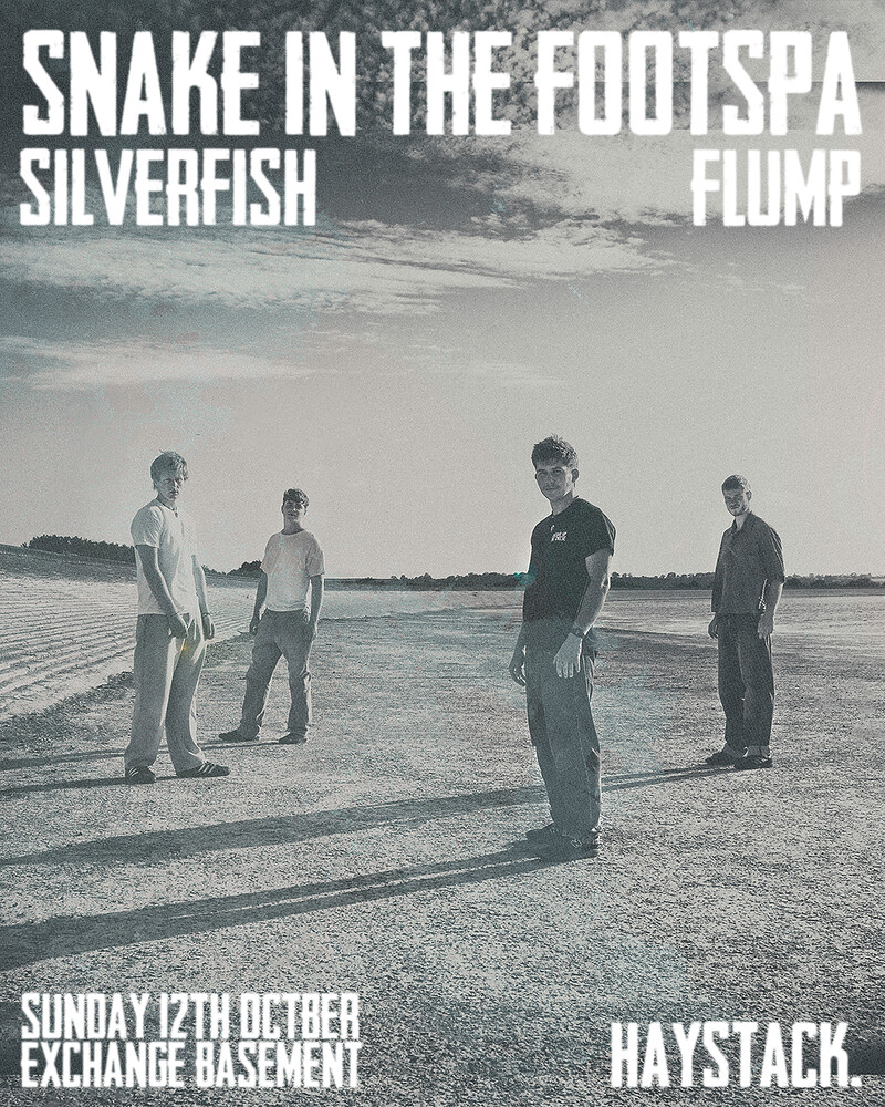 Snake in the Footspa with Silverfish at Exchange