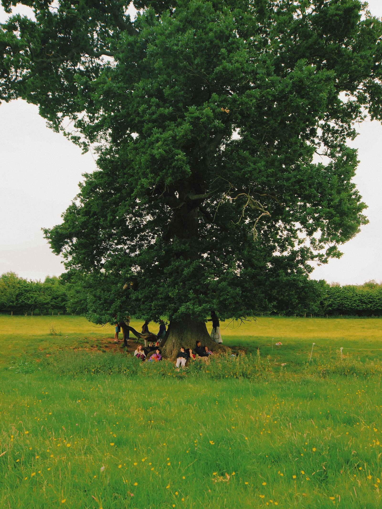 Dancing Body Festival 2026 at Three Pools Farm