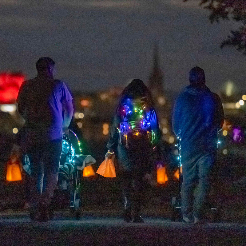 Starlight Walk at Ashton Court