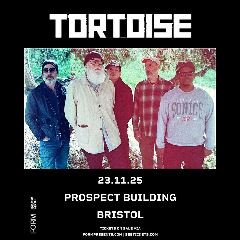 Tortoise at The Prospect Building