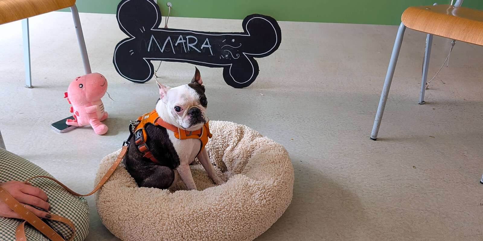 Life Drawing with Dogs at Wiper & True Taproom, Unit 11, City Business Park, St Jude's, Bristol BS5 0SP