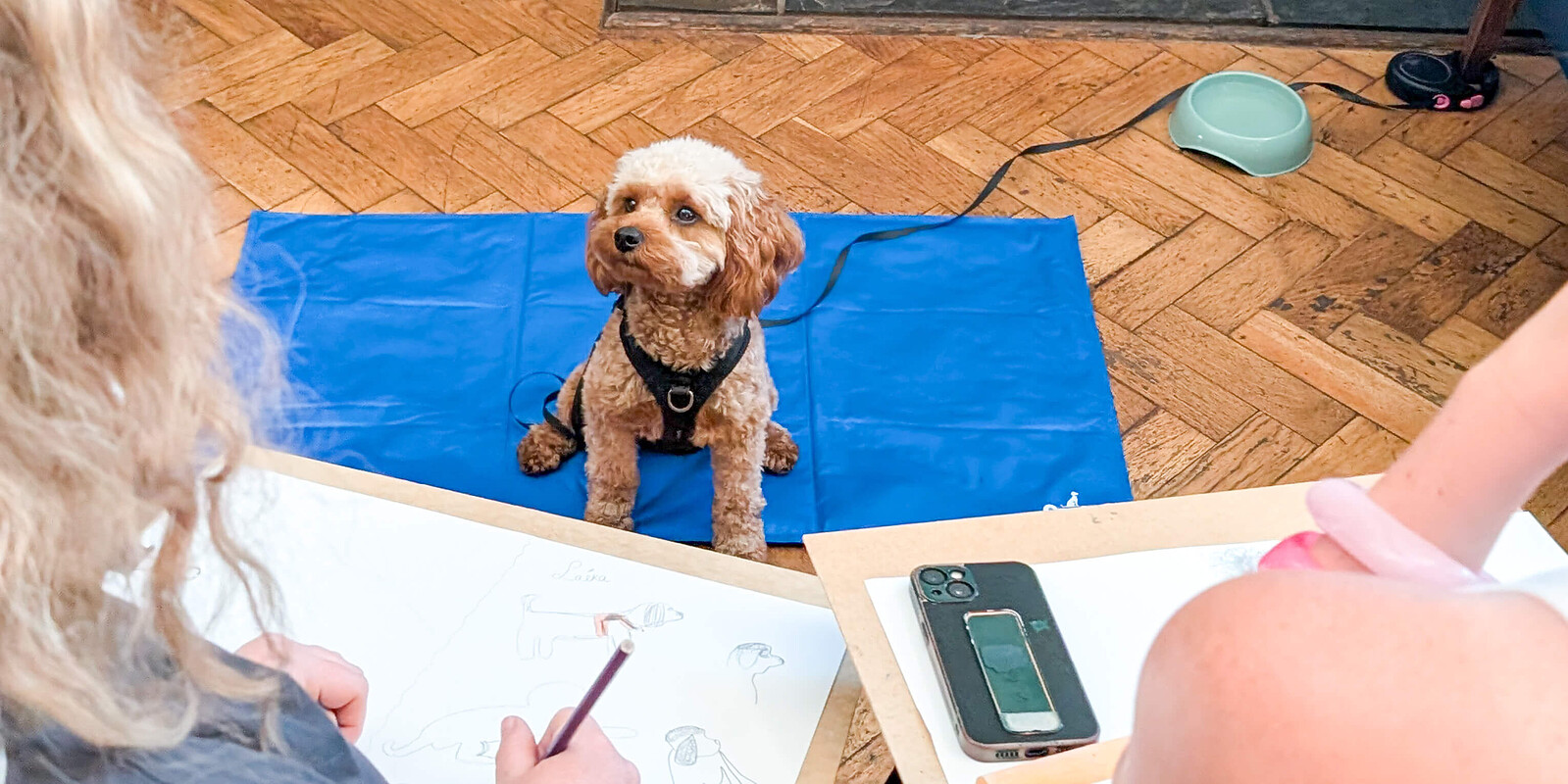 Christmas Dog Life Drawing at The Crafty Egg (Fishponds)