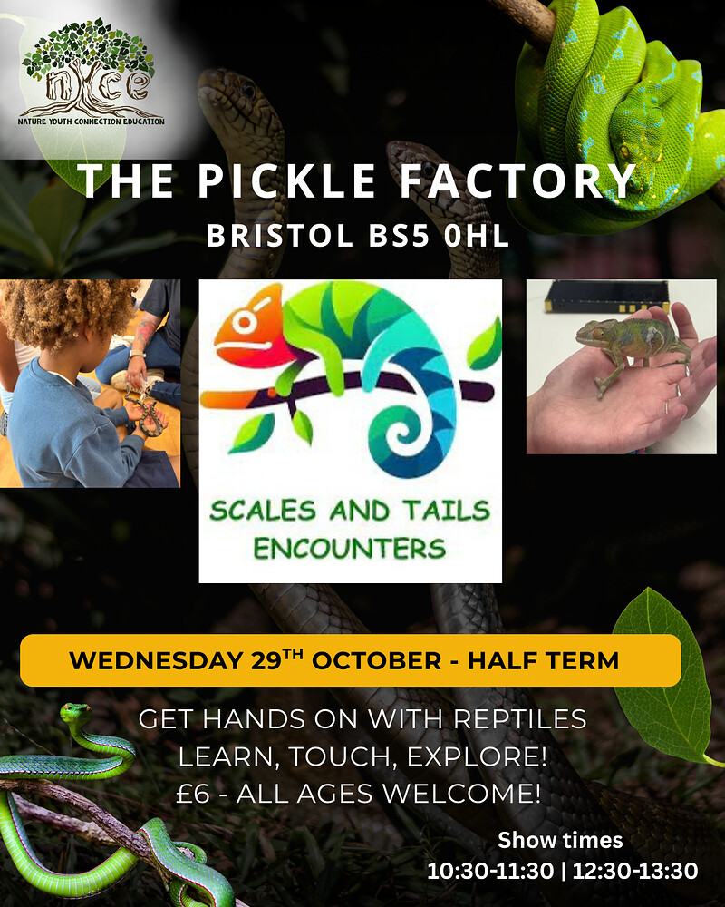 Scales and Tails Encounters at The Pickle Factory - Bristol