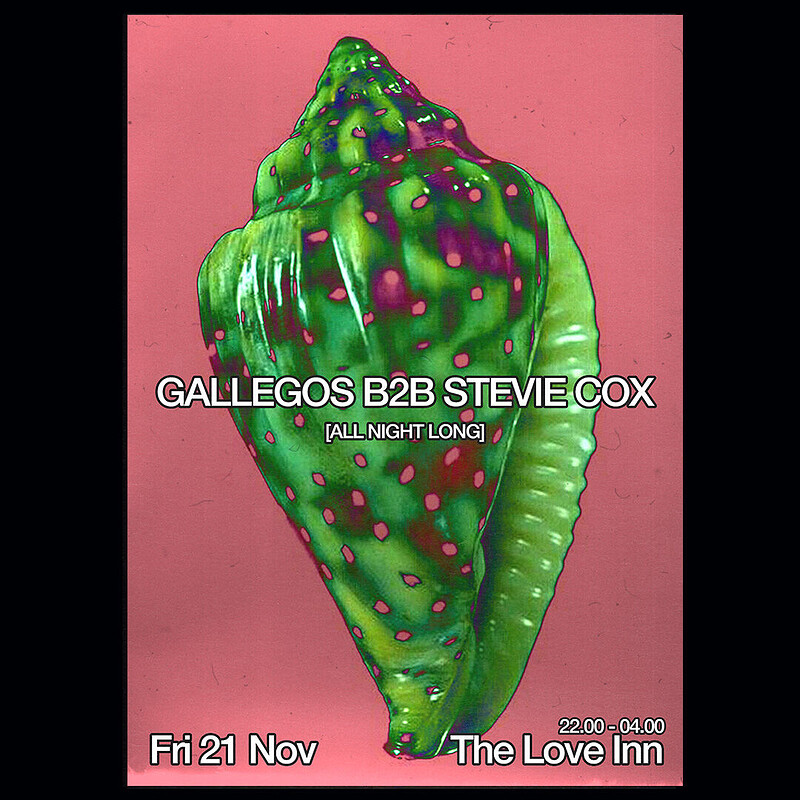 Gallegos + Stevie Cox at The Love Inn