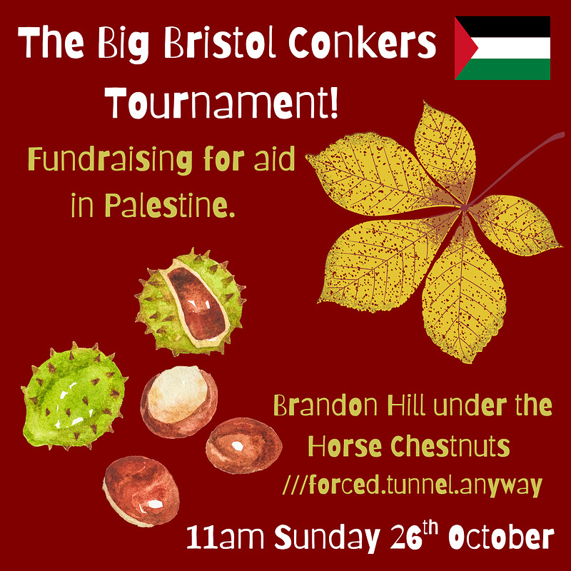 The Big Bristol Conkers Tournament for Palestine at Brandon Hill, Bristol
