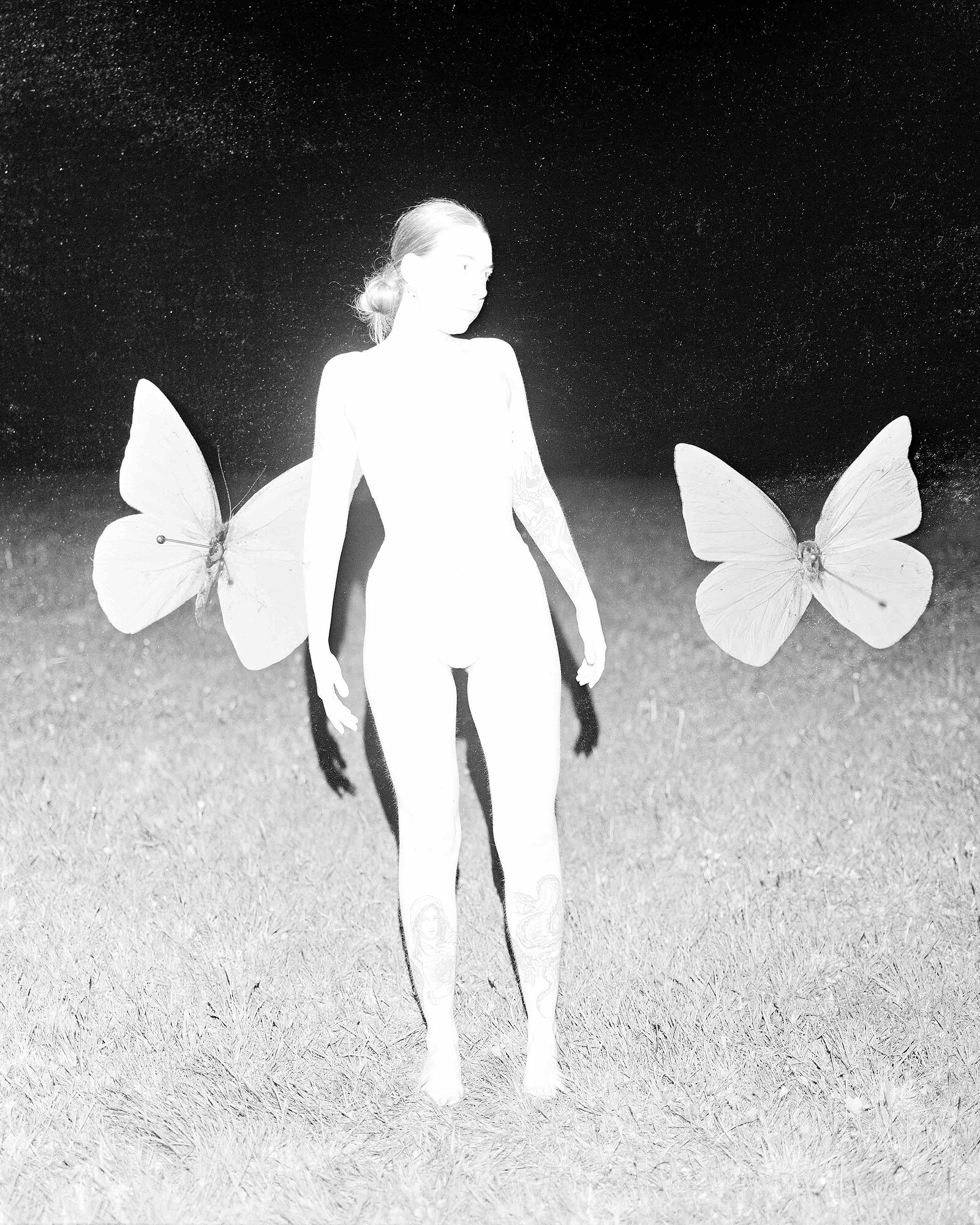 Other Joys by Alice Poyzer at Serchia Gallery