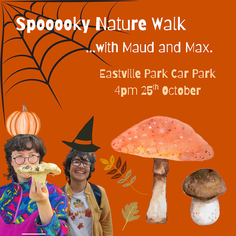 Spoooooky Plant and Mushroom Walk at Eastville Park, Bristol