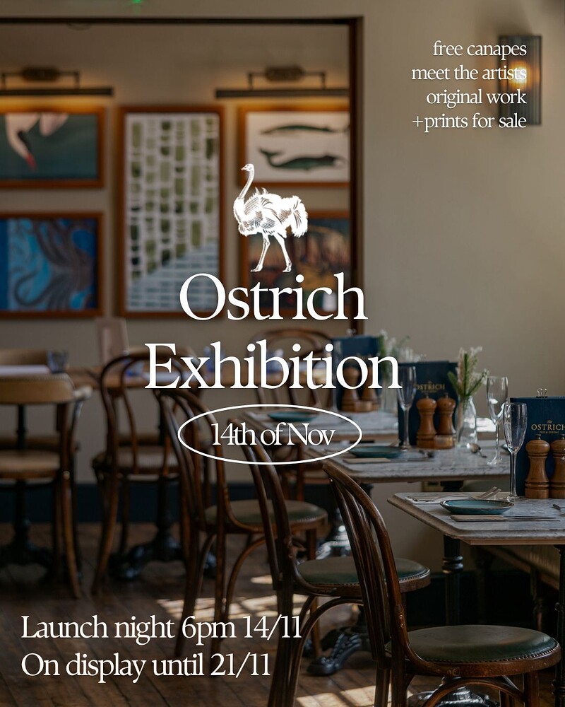 Ostrich Exhibition at The Ostrich, Lower Guinea St, Redcliffe, Bristol BS1 6TJ