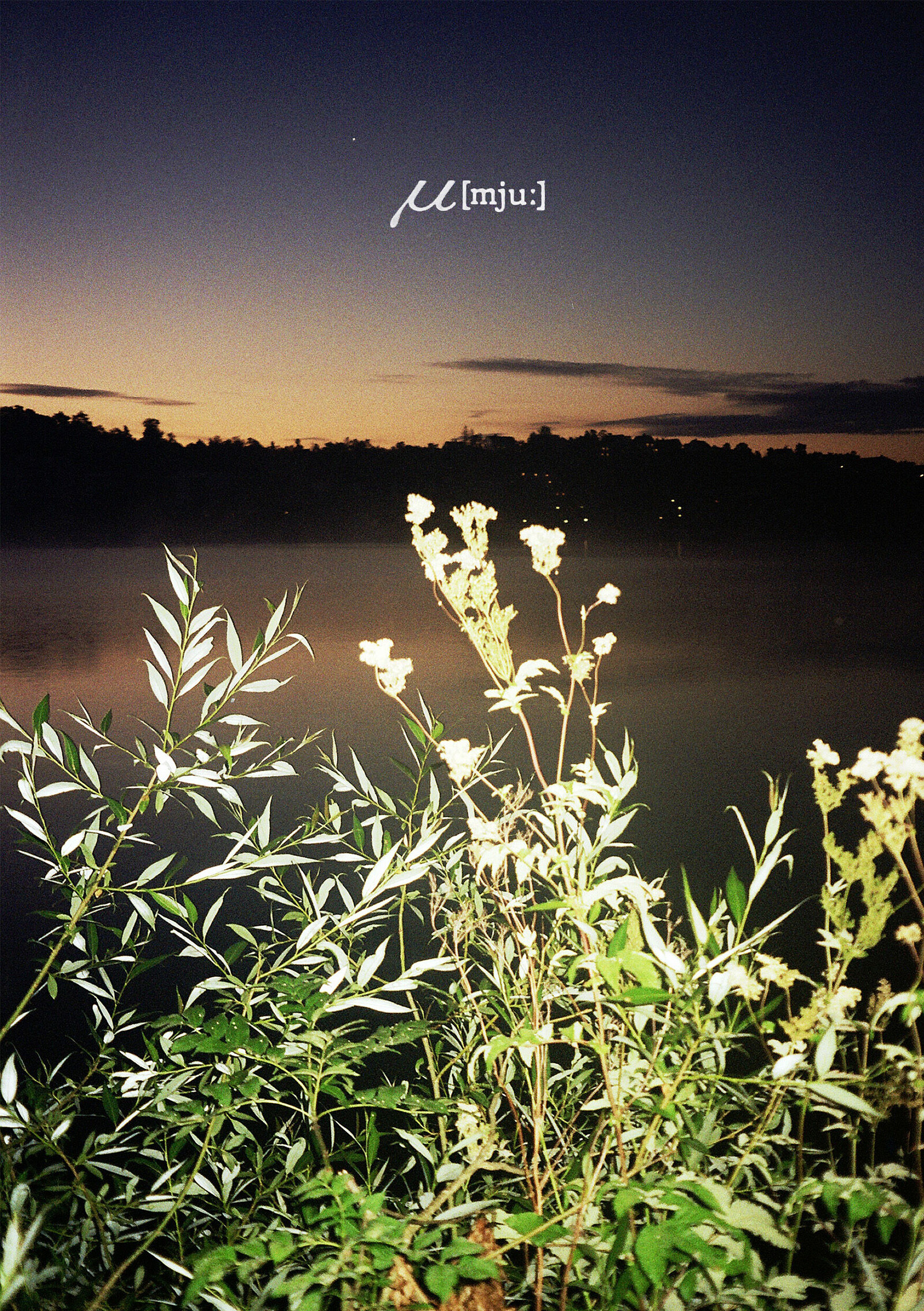 Book Launch // mju by Sam Barrett at Arnolfini Cafe Bar