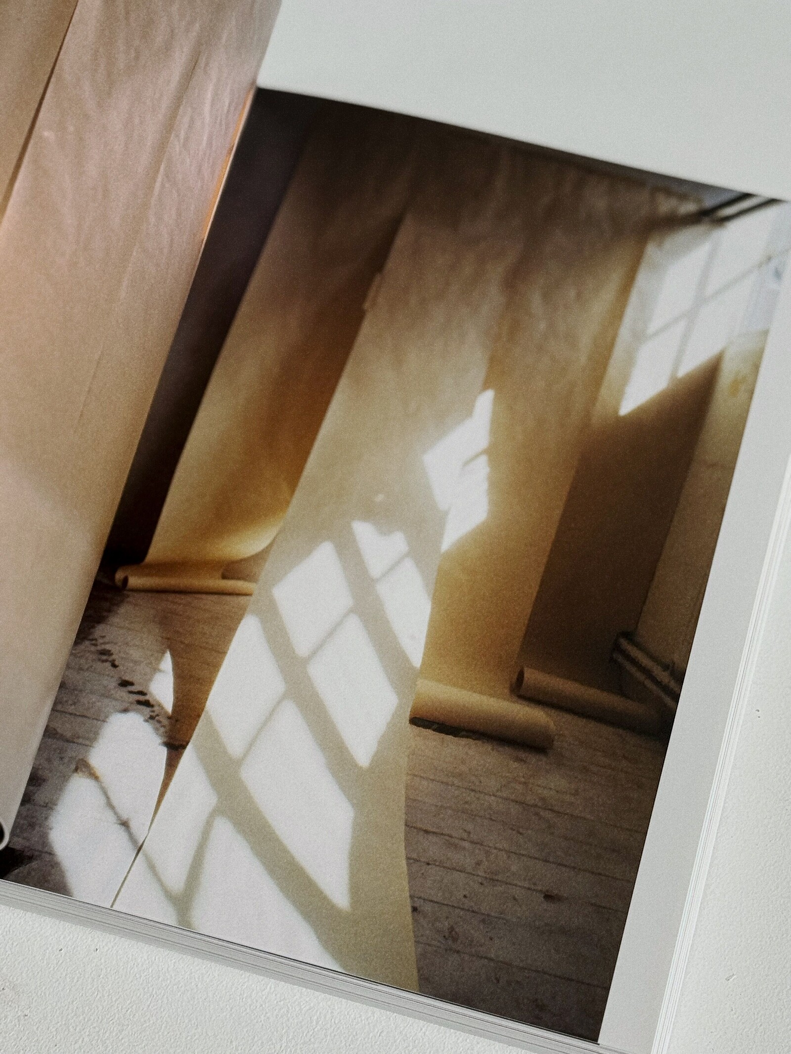 Wilful Amateur | Sian Bonnell In Conversation with Aliki Braine at Serchia Gallery