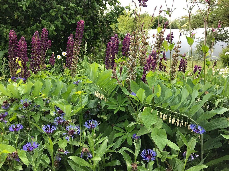Introduction to Forest Gardening at Grow Wilder, Avon Wildlife Trust, Frenchay