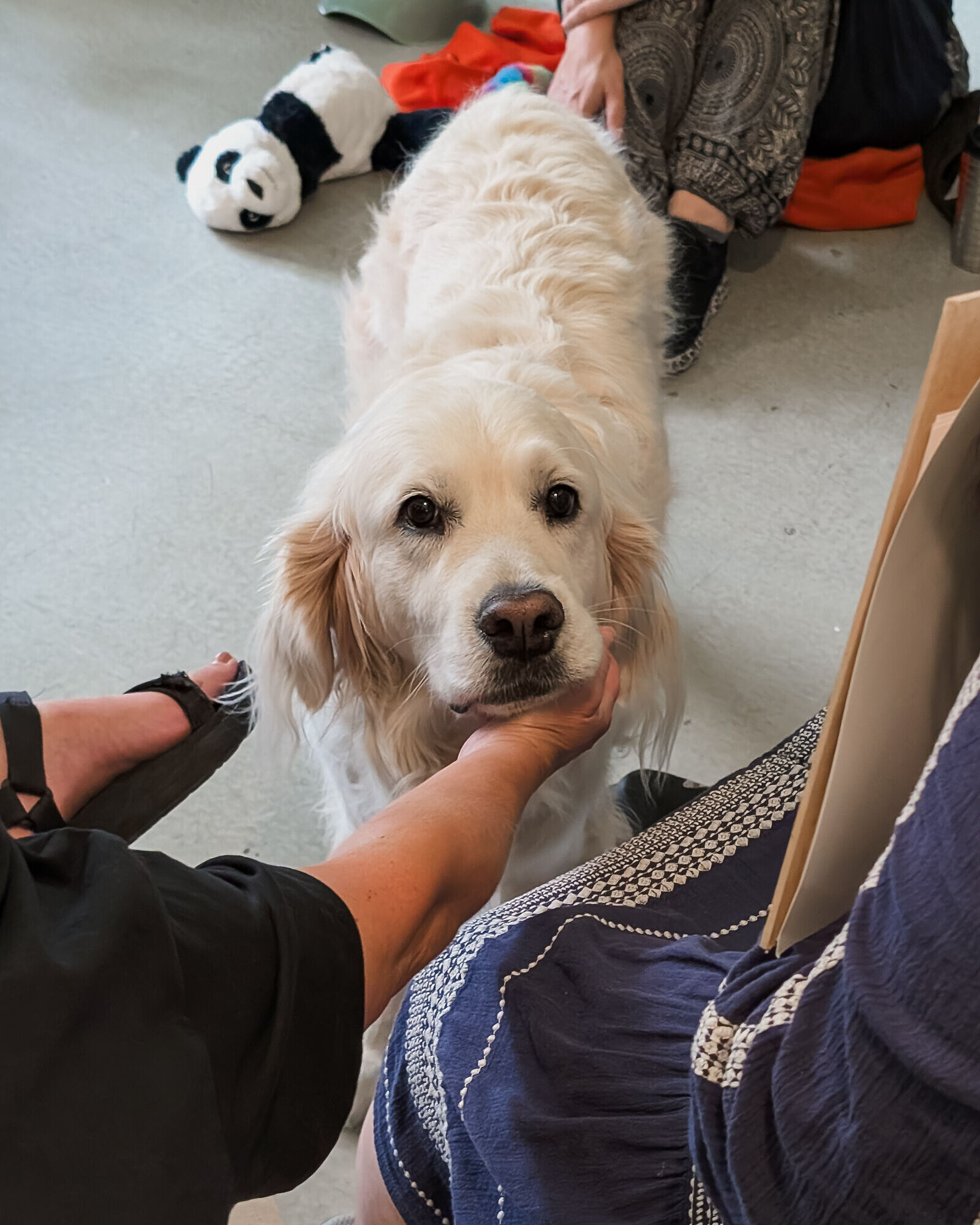 Life Drawing with Dogs at Wiper and True Taproom