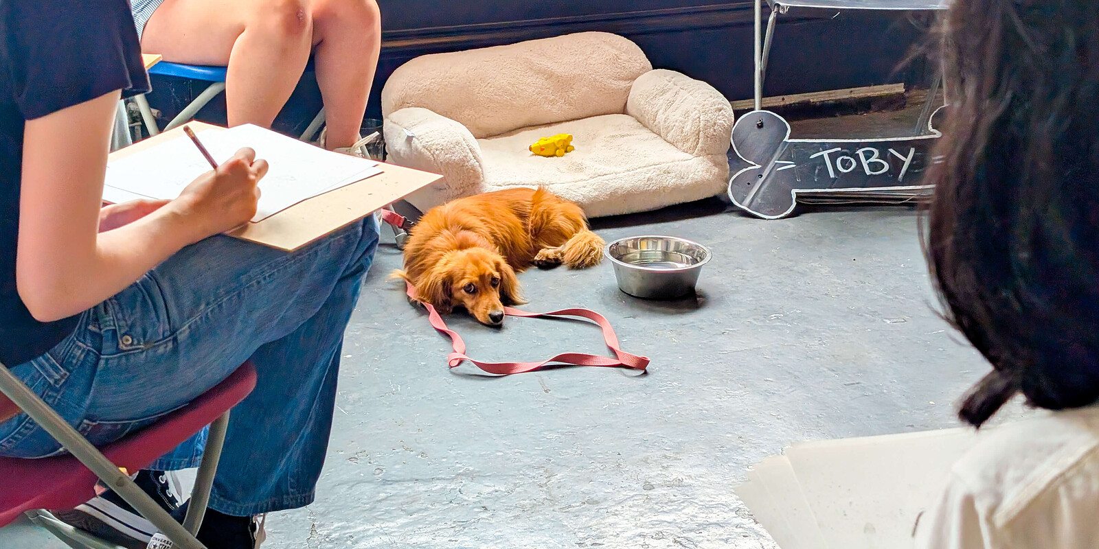 Life Drawing with Dogs at KIT FORM
