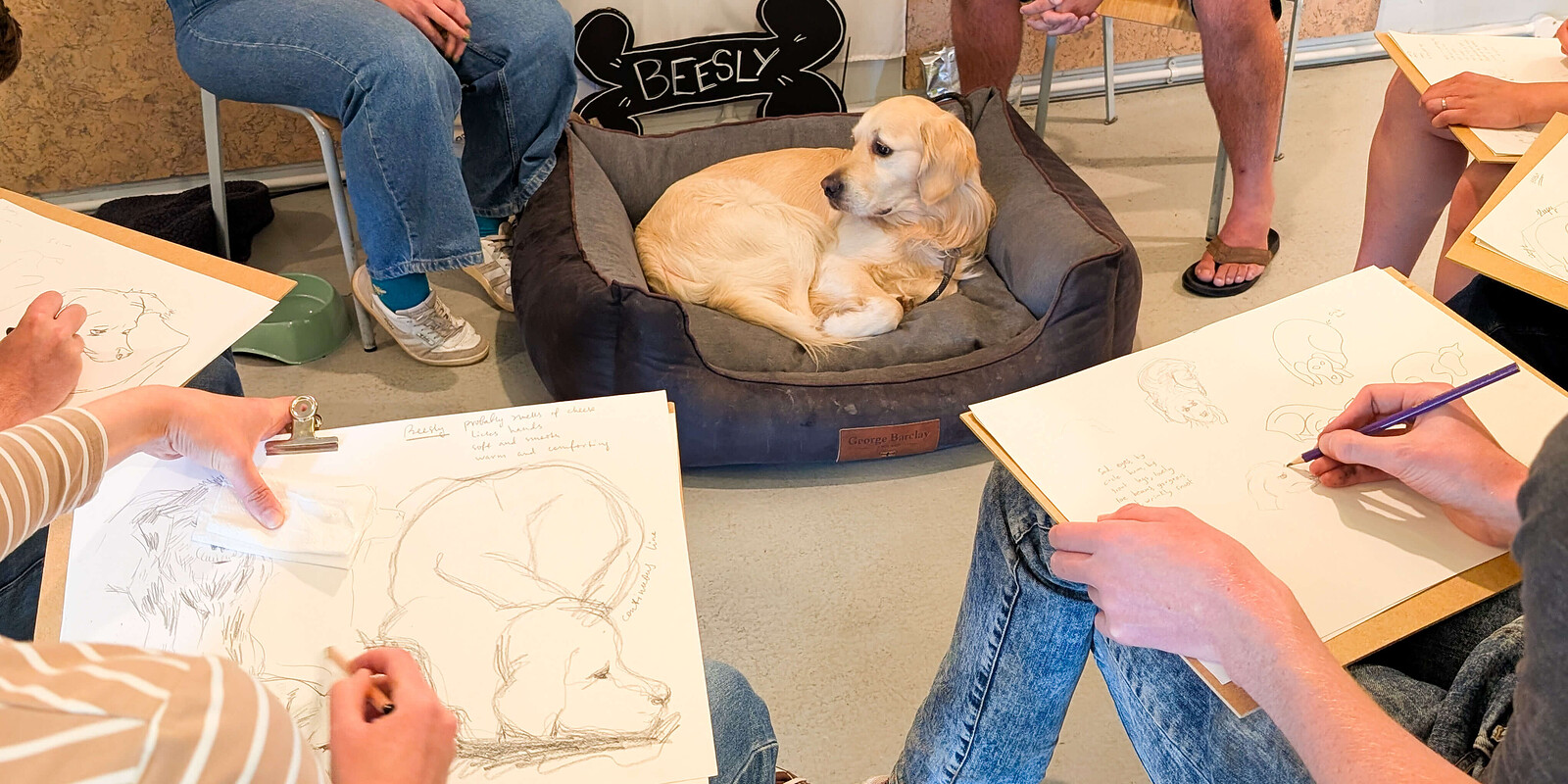 Life Drawing with Dogs at Wiper and True Taproom