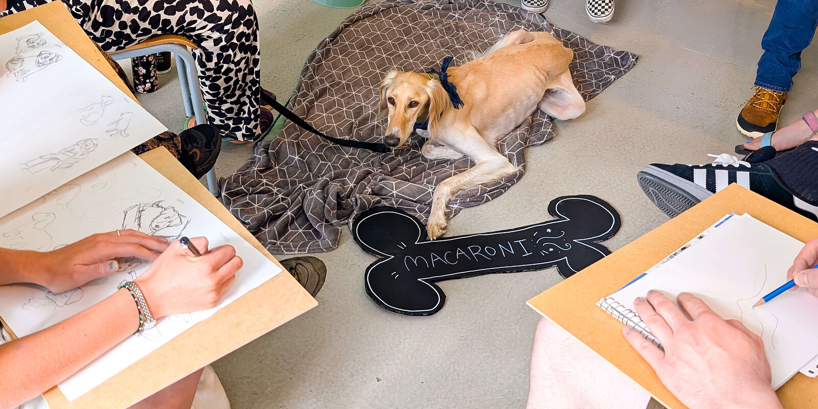 Life Drawing with Dogs at Wiper and True Taproom