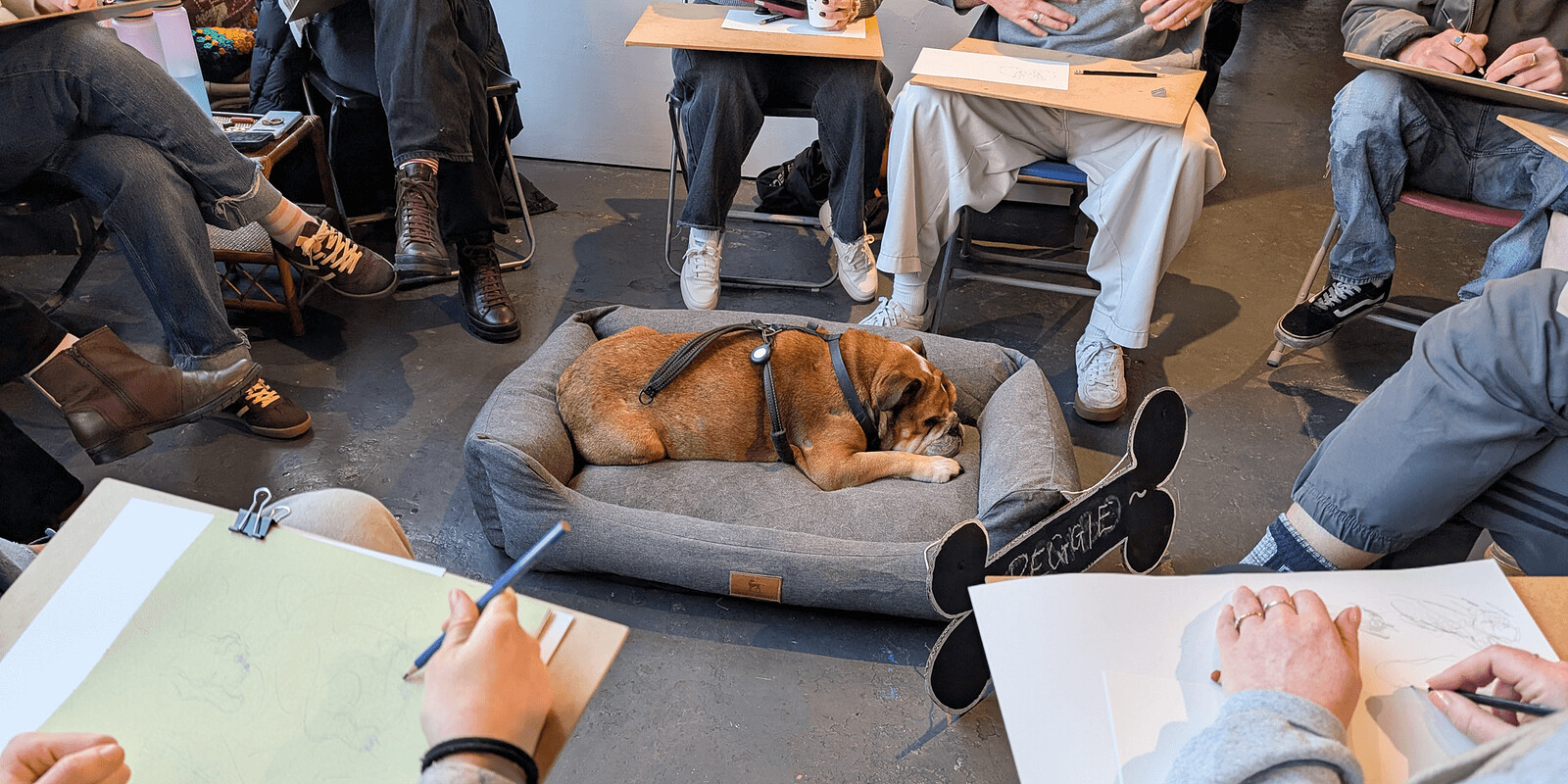 Dog Life Drawing at The Crafty Egg (Fishponds)