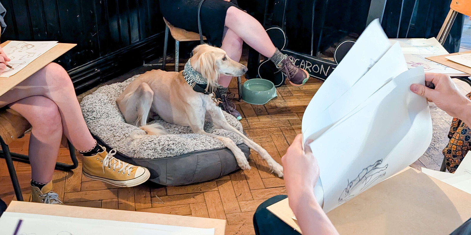 Dog Life Drawing at The Crafty Egg (Fishponds)