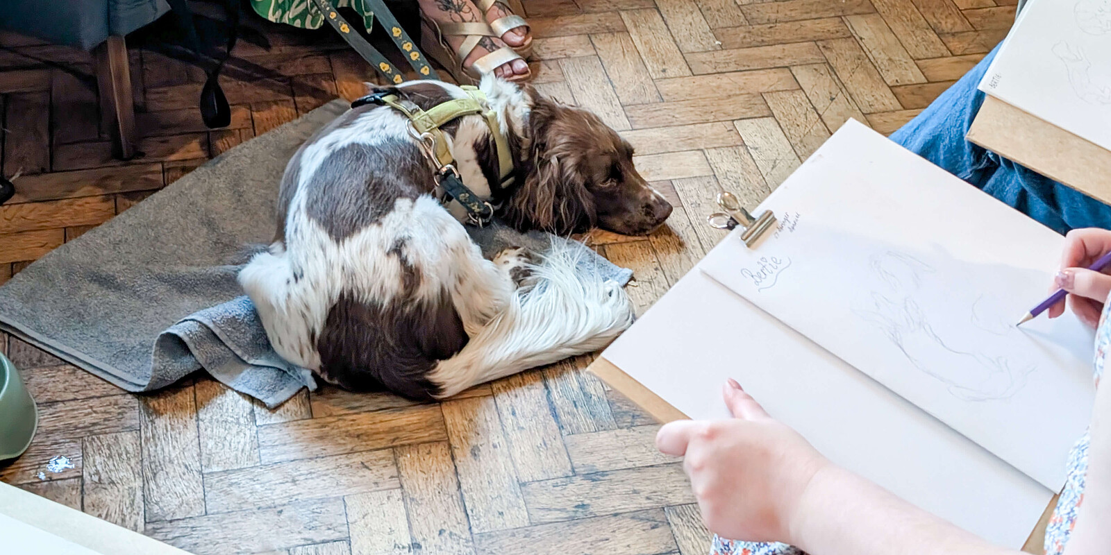 Dog Life Drawing at The Crafty Egg (Fishponds)