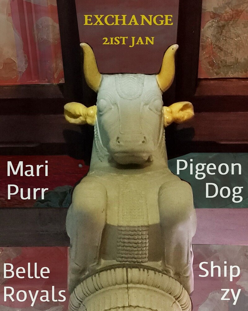 Pigeon Dog at Exchange