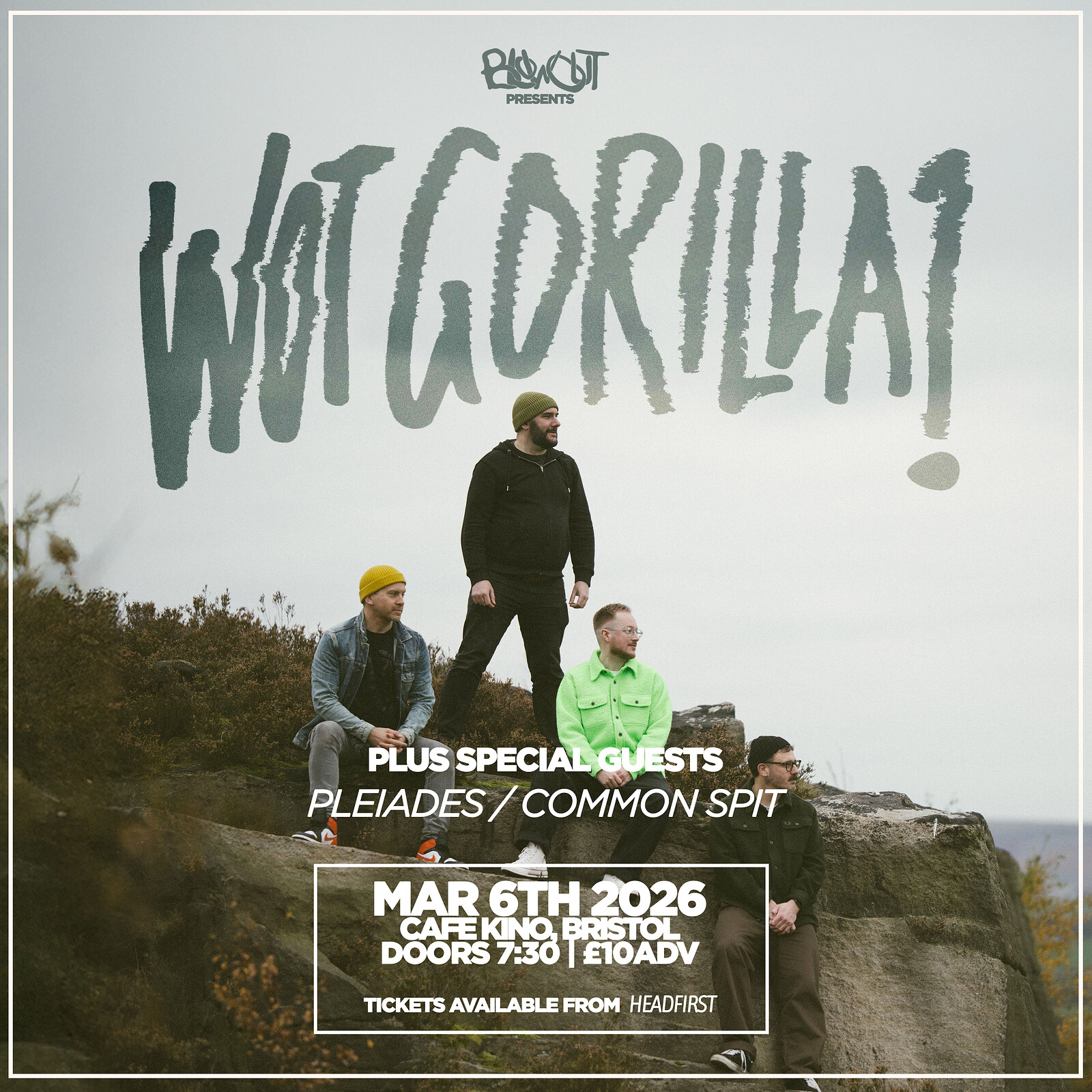 Wot Gorilla? at Cafe Kino