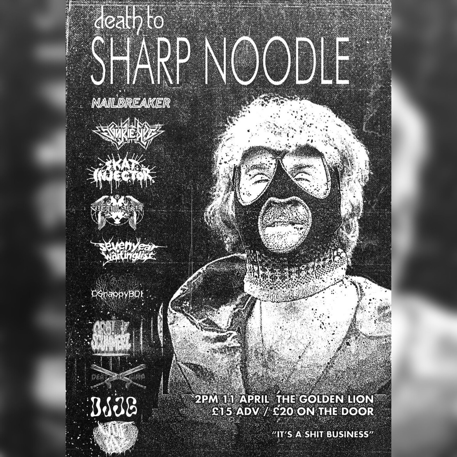 DEATH TO SHARP NOODLE at The Golden Lion