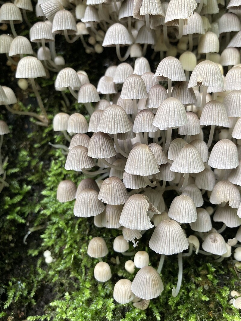 A muddy day out at Clifton Suspension Bridge