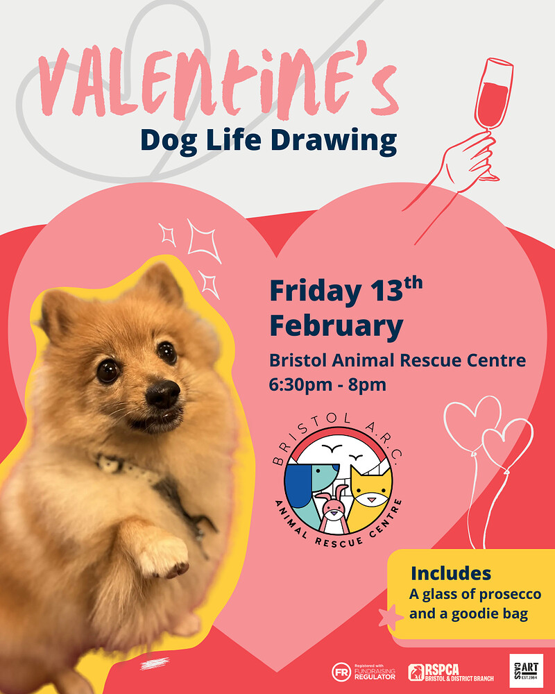Dog Life Drawing - Valentine's Day Edition at Bristol Animal Rescue Centre