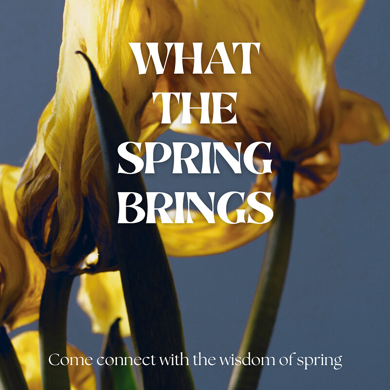 What the Spring Brings - A seasonal connection workshop at Bridge Farm