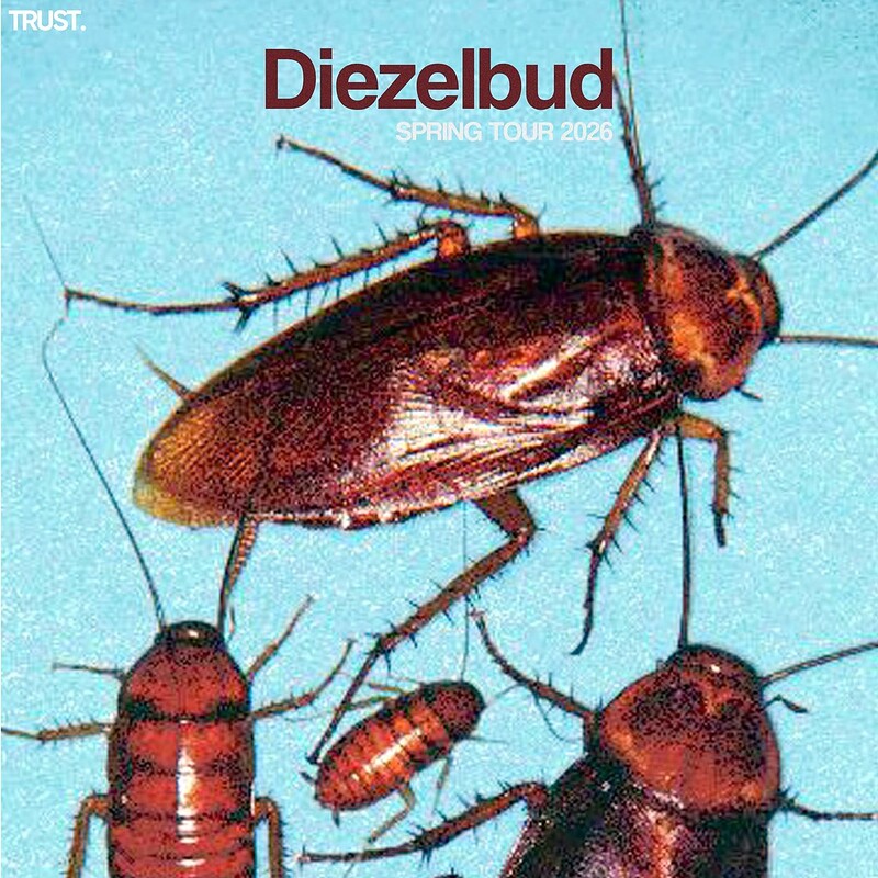 Diezelbud at The Old England Pub