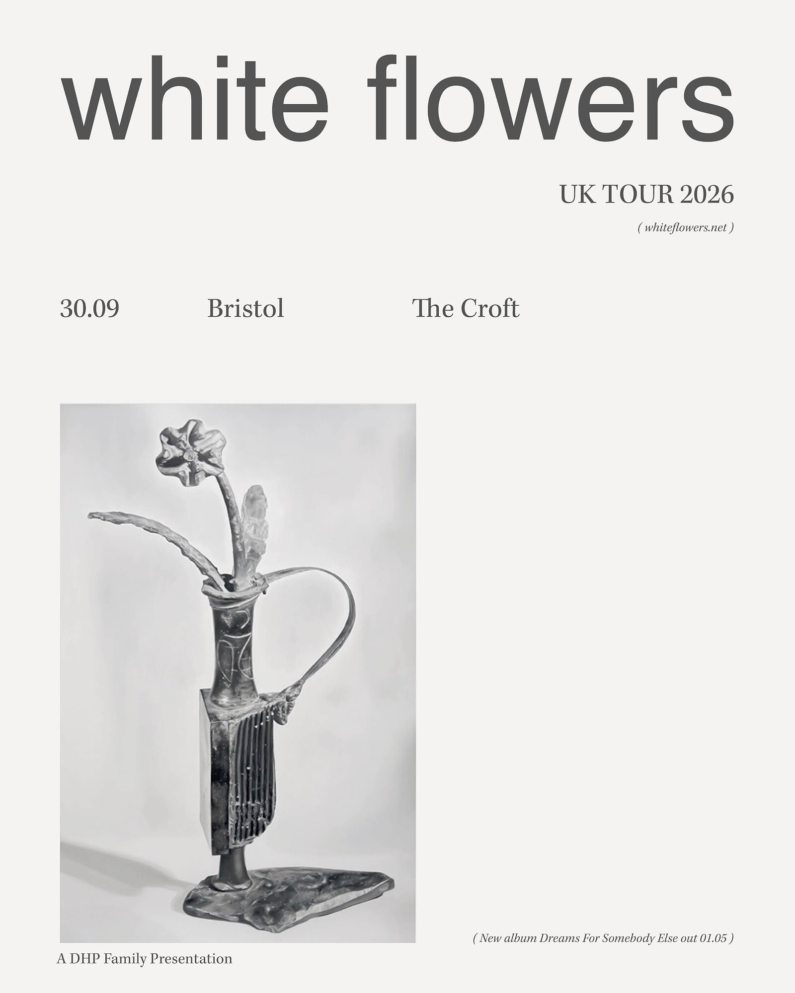 White Flowers at The Croft