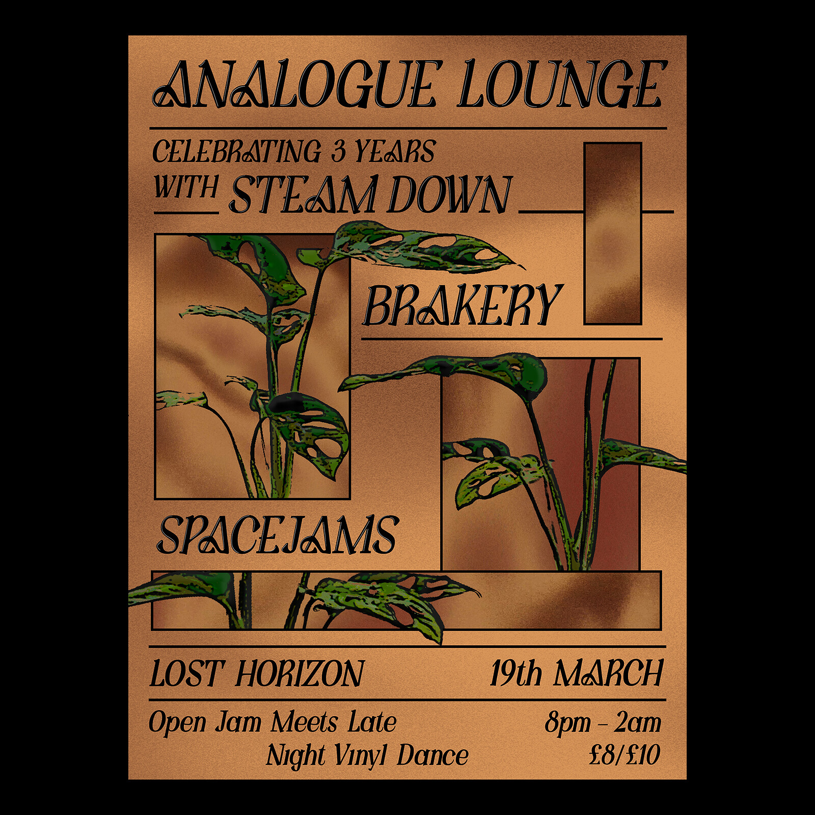 3 Years of Analogue Lounge w/ Steam Down at Lost Horizon