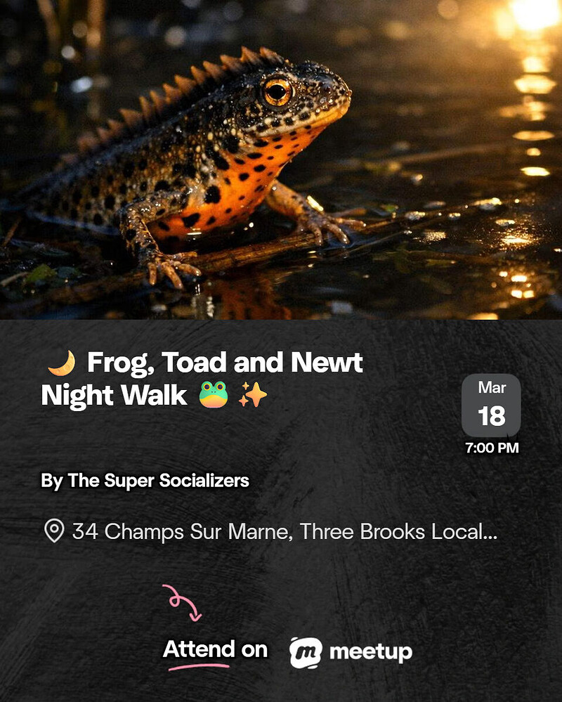 Frog, Toad & Newt Night Walk — Three Brooks at Three Brooks Local Nature Reserve