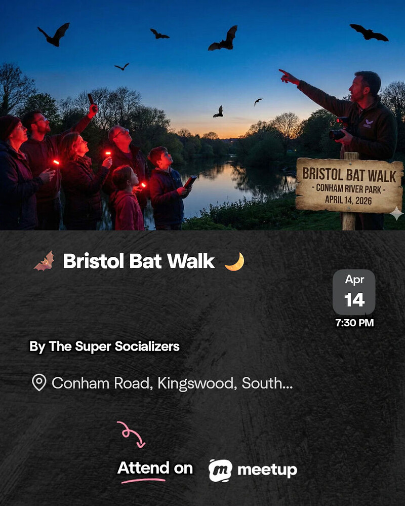 Bristol Bat Walk — Conham River Park at Conham River Park