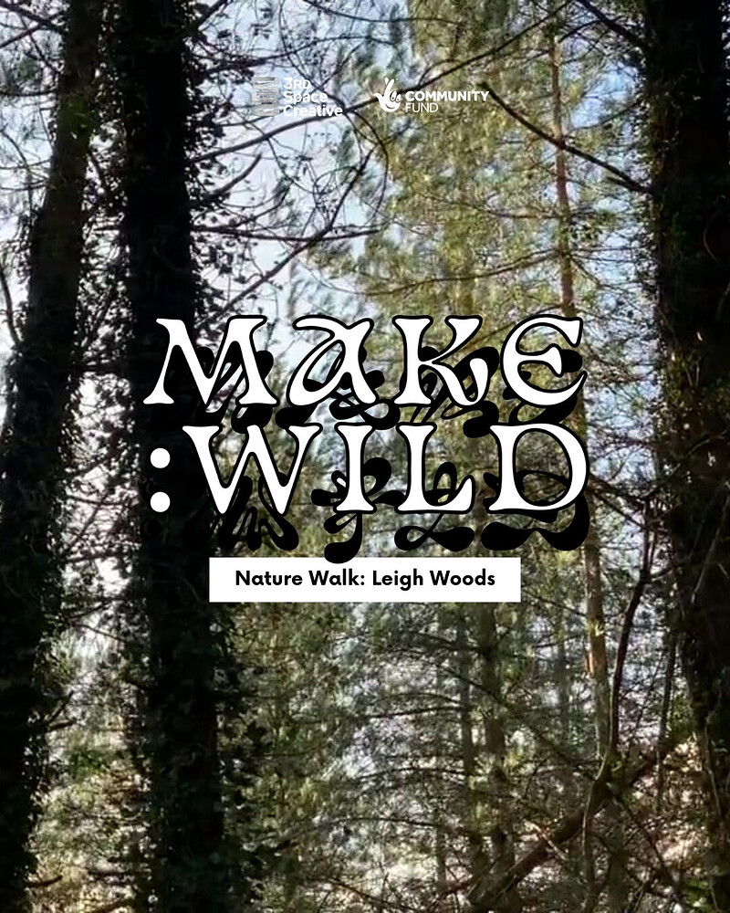 Leigh Woods Nature Walk - Make Wild at Leigh Woods