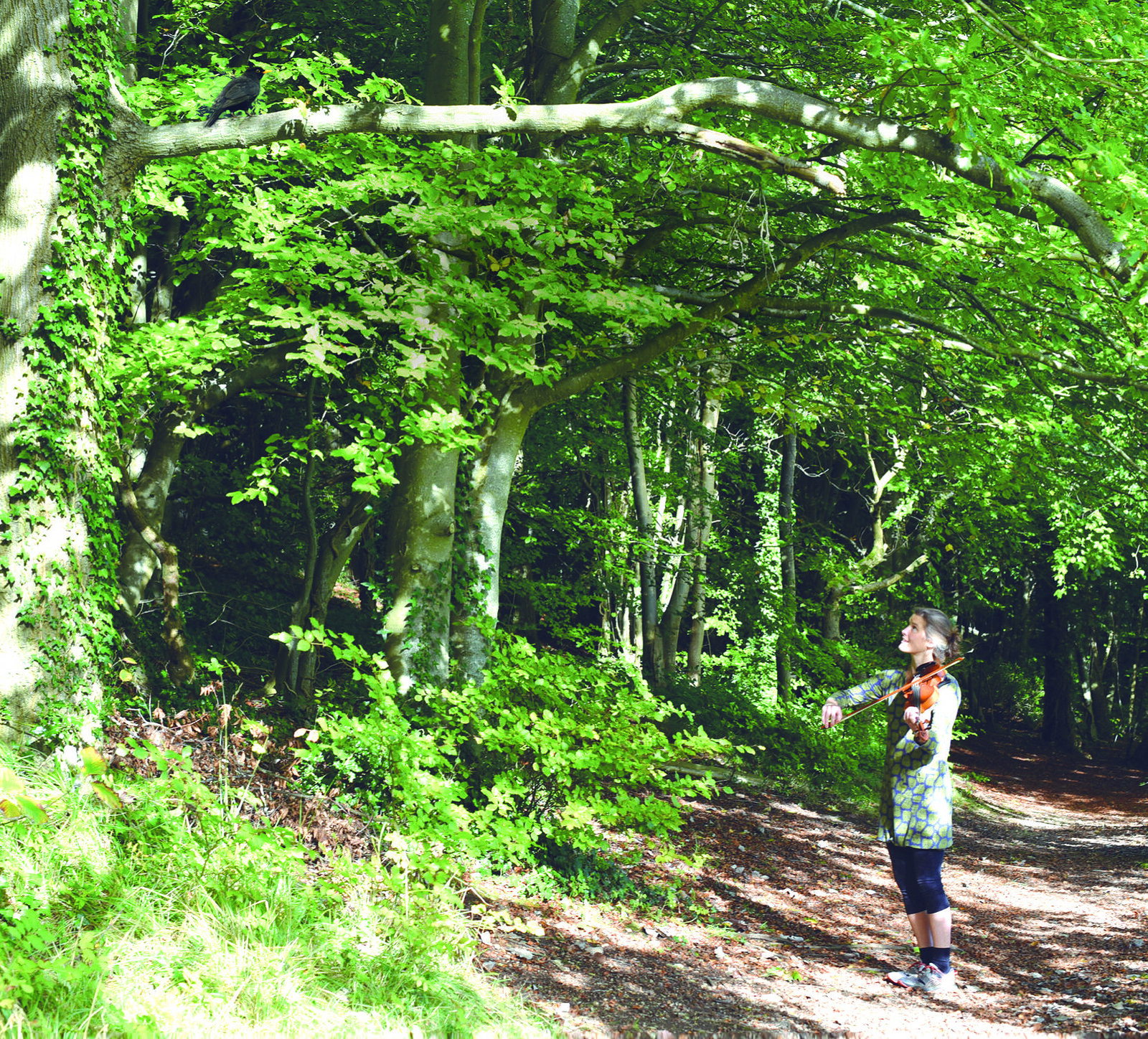 Tune Writing Inspired by Nature - Workshop with Miranda Rutter at The Greenbank