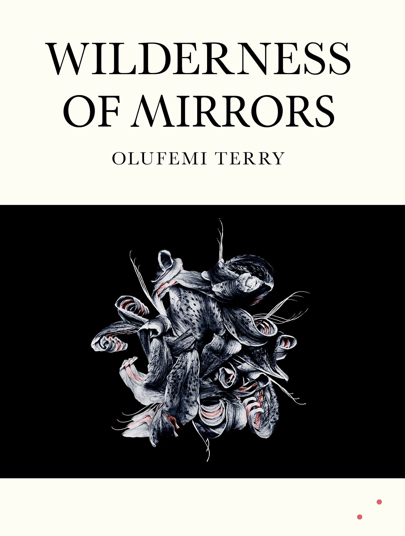 Wilderness of Mirrors launch with Olufemi Terry at Bookhaus