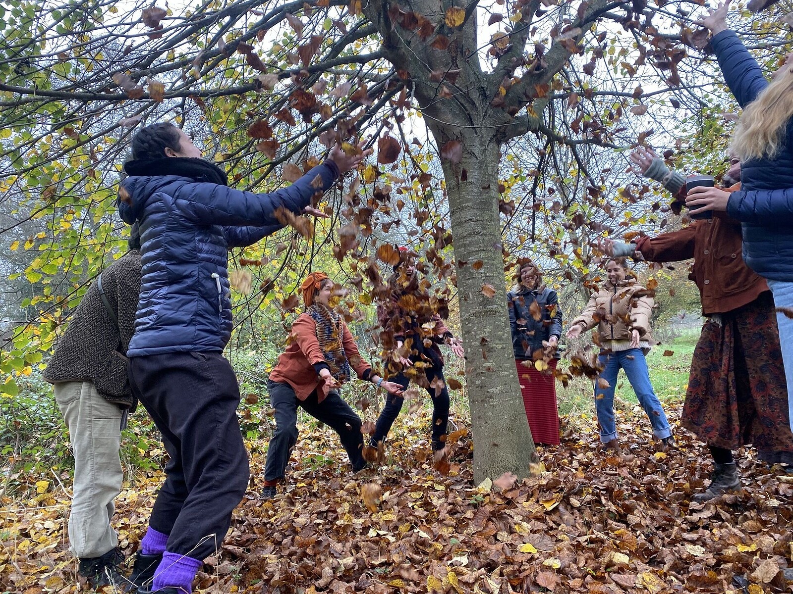 Creative Sleepover: OUR BODY in Nature at Three Pools Farm