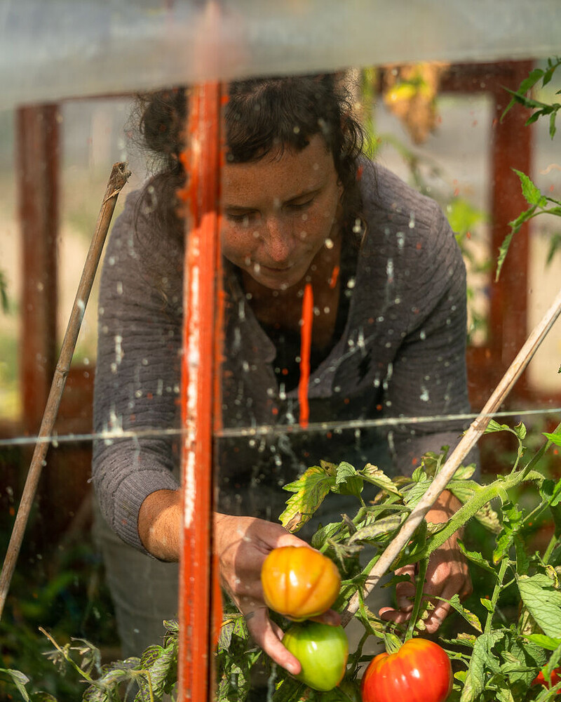 Seasonal Growing Course at The Community Farm