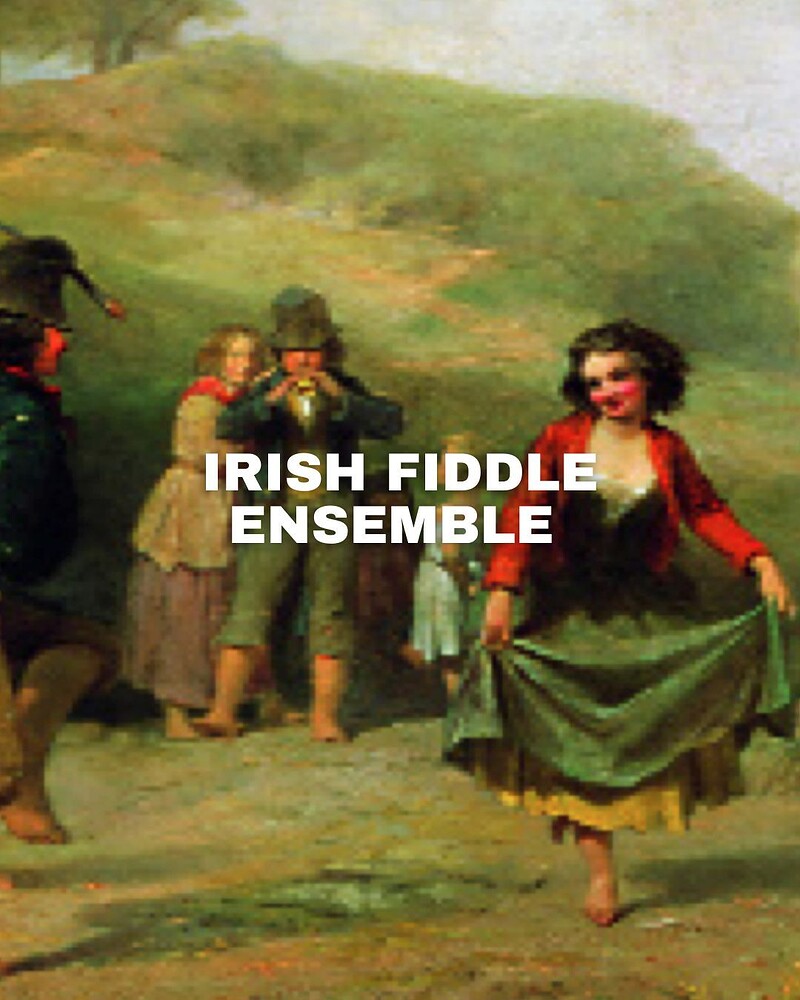 Irish Trad down Mickeys at Mickey Zoggs