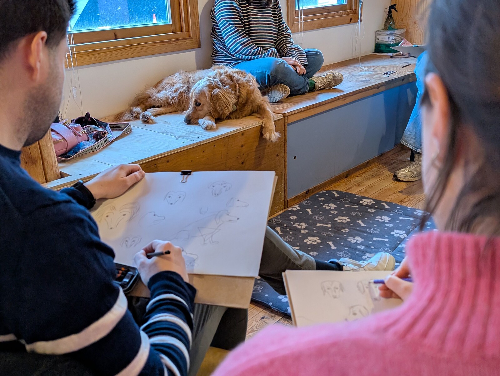 Dog Life Drawing - South Bristol at The Greenhouse, Hereford Street, Windmill Hill, BS3 4NA