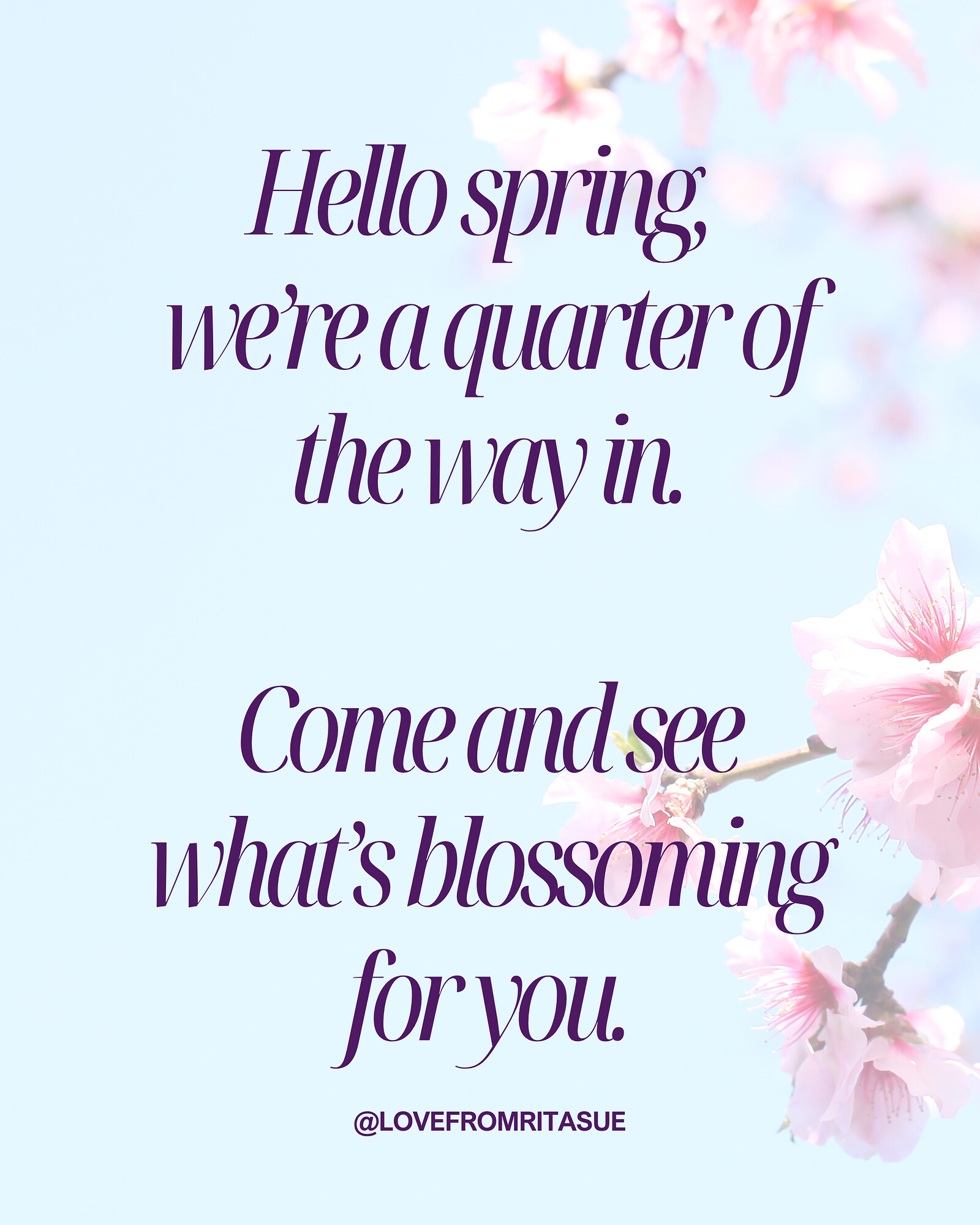 Cosy 1:1 Tarot Readings in Central Bristol at To The Moon