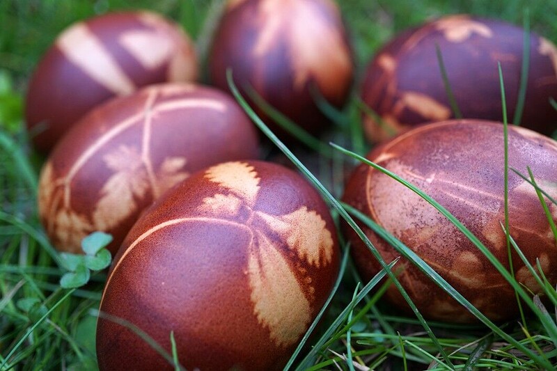 Rebirth & Renewal: Egg Decorating with Onion Skins & Plants at L'Étoile Studio