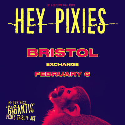 Hey Pixies