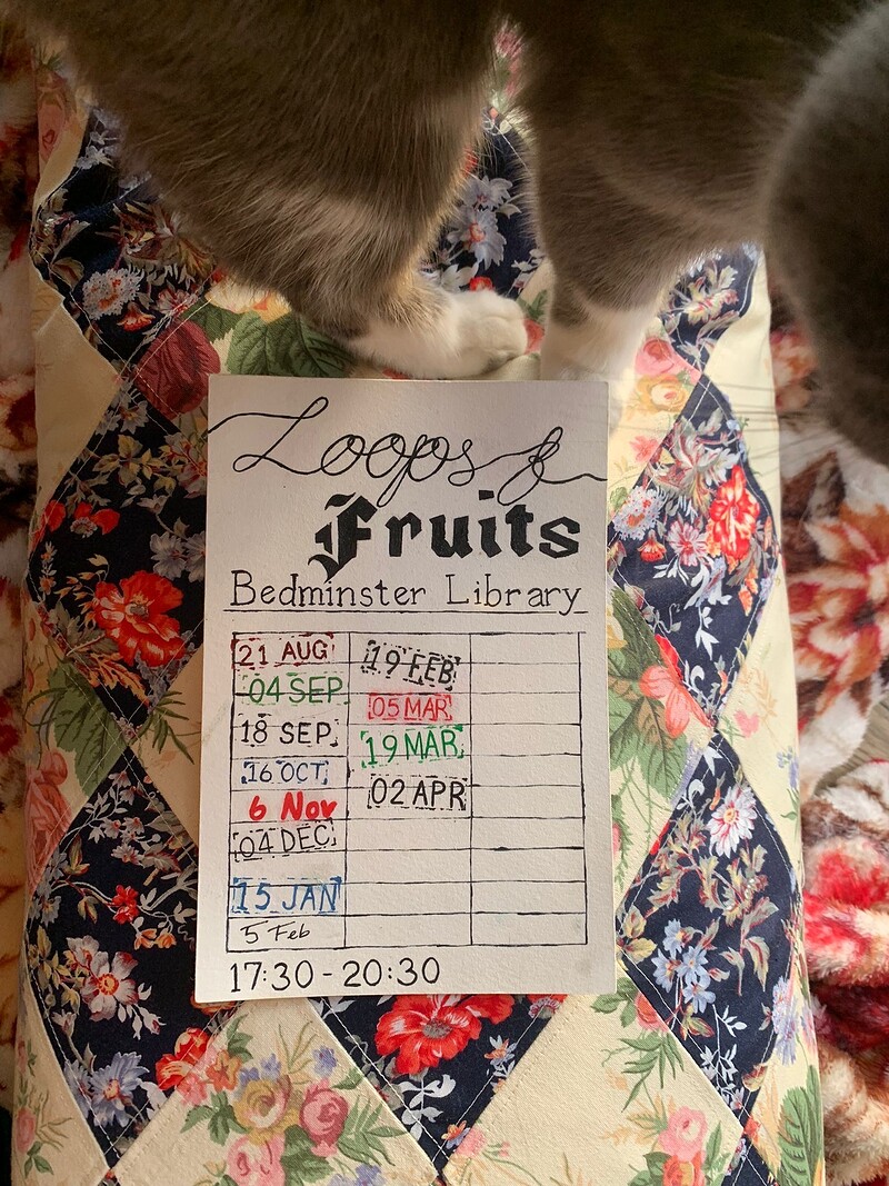 Loops & Fruits QUEER Fibre Arts Club at Bedminster Library