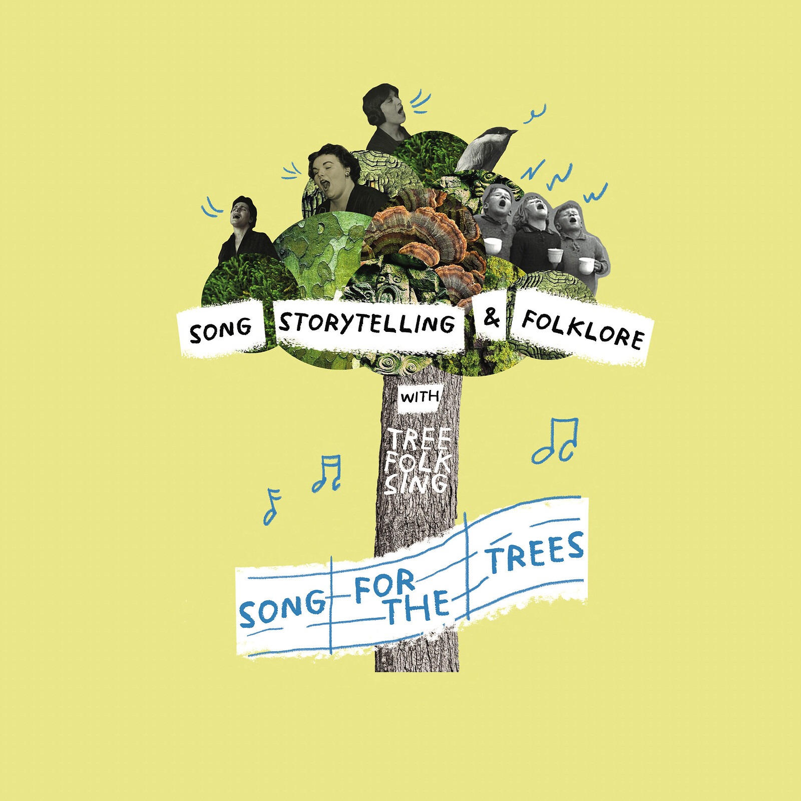 Song for the trees at Springfield Allotments