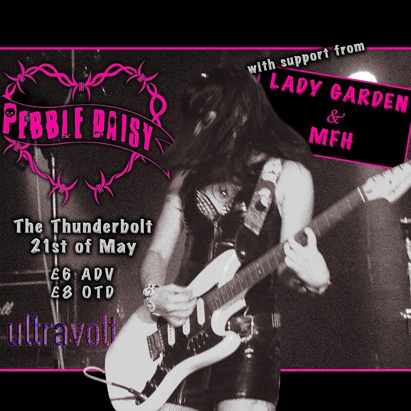 Pebble Daisy at The Thunderbolt