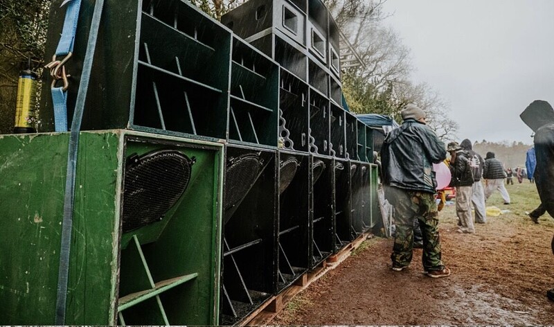 12 Hogs in Greenworks at Green Works